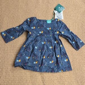 LITTLE GREEN RADICALS Toddler Dress NWT